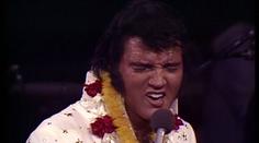 Elvis Presley by oslavil 90. narozeniny. Jeho fanoušci věří, že stále žije