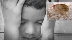 Blecha nakazila chlapce morem! Lékaři teď bojují o jeho život