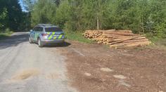 Policie dopadla zloděje dřeva. Škody dosahují téměř na milion korun