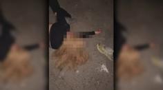 Šikana dívky (11) ze Slovenska: Policie má dosud nezveřejněné snímky a videa