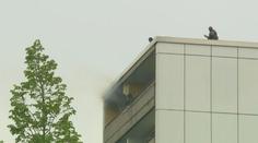 Obytným domem v Německu otřásla exploze. Policie podezřelého zadržela