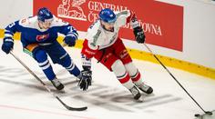 Češi před světovým šampionátem stále vítězí. Slováky zdolali po nájezdech