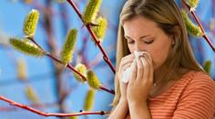 Pylová sezóna je tu! První alergici už plní ordinace