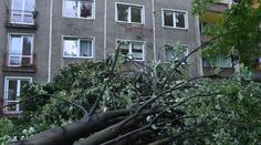 Bouřky lámaly stromy, tisícům Čechů nejde proud! PŘEDPOVĚĎ