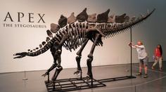 Nejdražší kostra dinosaura na světě vyšla kupce v aukci na miliardu