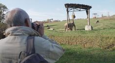 Úspěšný rok zlínské zoo: Rekordní návštěvnost a stovky nových přírůstků