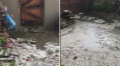 Na Vysočině hrozí velmi silné bouře, hasiči odklízí spadané stromy