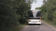 Dopravce trápí přerostlé větve stromů. Způsobují škody za desetitisíce