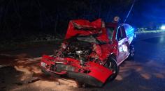 Auto srazilo divočáka a zastavilo, následovala bouračka jak z Kobry 11