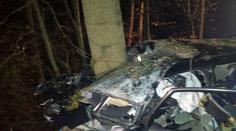 Na auto při nehodě na Vysočině spadl strom. Policisté ho hledali hodinu
