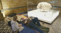 Film se stal realitou. Návštěvníci přespali v muzeu ve společnosti dinosaurů