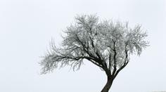 V noci meteorologové naměřili -27 °C! Rekordy padly na 9 stanicích