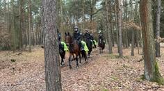 Desítky policistů v Klánovickém lese. Nebezpečí nehrozí, uklidňují