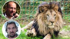 Je zázrak, že nikdo nezemřel už dřív! Zoo reagují na smrt chovatele