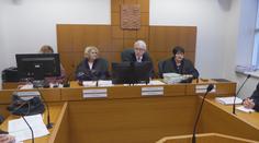 Šlo o sexuální praktiku, tvrdí muž. Za uškrcení ženy při sexu dostal 10 let