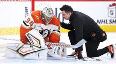 Zápas blbec pro Mrázka. Dostal tři góly, pak se zranil a Anaheim prohrál