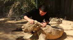 ZOO HRŮZY: Zvířata nechali zemřít hladem a žízní, jsou z nich mumie!