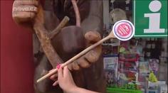Krkonošské speciality v Peci: Zapomeňte na řízek nebo smažák