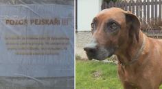 Odporný útok na pejsky! V Jihlavě někdo líčí otrávené návnady