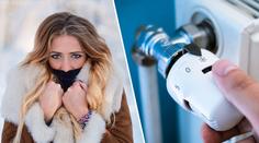 Jaká bude letos zima? Meteorologové i příroda hovoří jasně. PŘEDPOVĚĎ