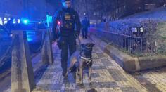 Muž se měl vloupat do auta a vyhrožovat zastřelením. Našla ho policejní fena