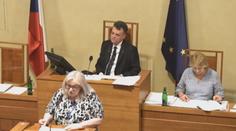 Senátorka Hamplová chce rasově segregovat děti. Pobouřila tím lidi