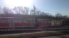 Celá Praha hledá vraha z tramvaje! V terénu jsou desítky policistů