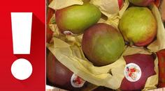 Mango z Penny Marketu bylo plné pesticidů! Hrozí alergická reakce