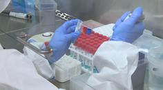 Dlouhá cesta. Podívejte se, co všechno se děje při testu na covid-19