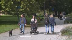 Nad Českem vysvitlo sluníčko. Příští týden nás čeká teplejší počasí