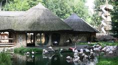 Jihlavská zoo musí mimořádně zavřít. U zvířat se objevila ptačí chřipka