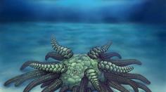 Mýtus ožil! Vědci našli legendární monstrum žijící na dně oceánu