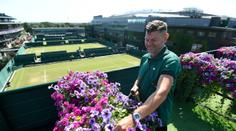 Neděle ve Wimbledonu? Čas pro zahradníky a opraváře