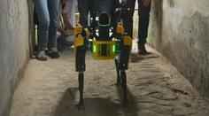 Tady hlídám já! Antické město Pompeje má strážit robotický pes
