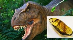 Vědci našli v jantaru dinosauří krev. Bude Jurský park realitou?