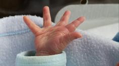 Narodilo se pět extrémně mrňavých miminek. Váží jako čtyři tabulky čokolády