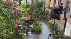 Jihočeské muzeum zve na výstavu orchidejí. K vidění budou vzácné druhy i rarity