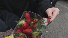 Kontrola potravin na Karlovarsku: Nedostatků bylo jen velmi málo