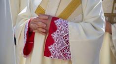 Vosa zabila oblíbeného kněze přímo u oltáře. Věřící zůstali v šoku