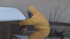 Nové ohnisko ptačí chřipky: Virus se rozšířil do dalšího kraje