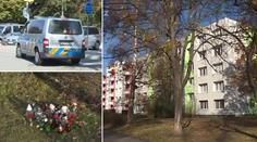 Matka vyskočila se synem z okna. Byla to vražda, řekla policie
