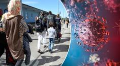 Češi se stále bojí migrantů, chtějí řešit klima. Pandemii podle nich EU zvládla