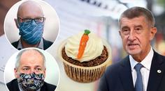Prymula s Plagou se hádají o opatření, premiér Babiš si fotí dortíky