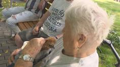 Netradiční terapie pro seniory. Nejlepšími přáteli jsou jim slepice a kohouti