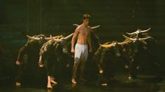 Unikátní představení v Praze. Hudba a choreografie vás přenese do džungle