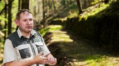 Za manipulaci se zakázkou vězení s ostrahou. Šéf lesů v Lánech dostal trest