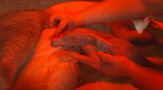 Ve Dvoře Králové se narodil hrabáč kapský. Pro zoo je to mimořádná událost