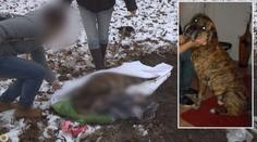 "Kdyby mu prošlo tohle, tak už všechno!"