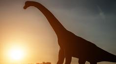 Muž našel na zahradě kostru obřího dinosaura. Fosilie je největší v Evropě