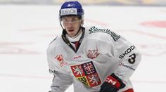 Hokejový reprezentant míří do Švédska, podepsal kontrakt na sedm týdnů